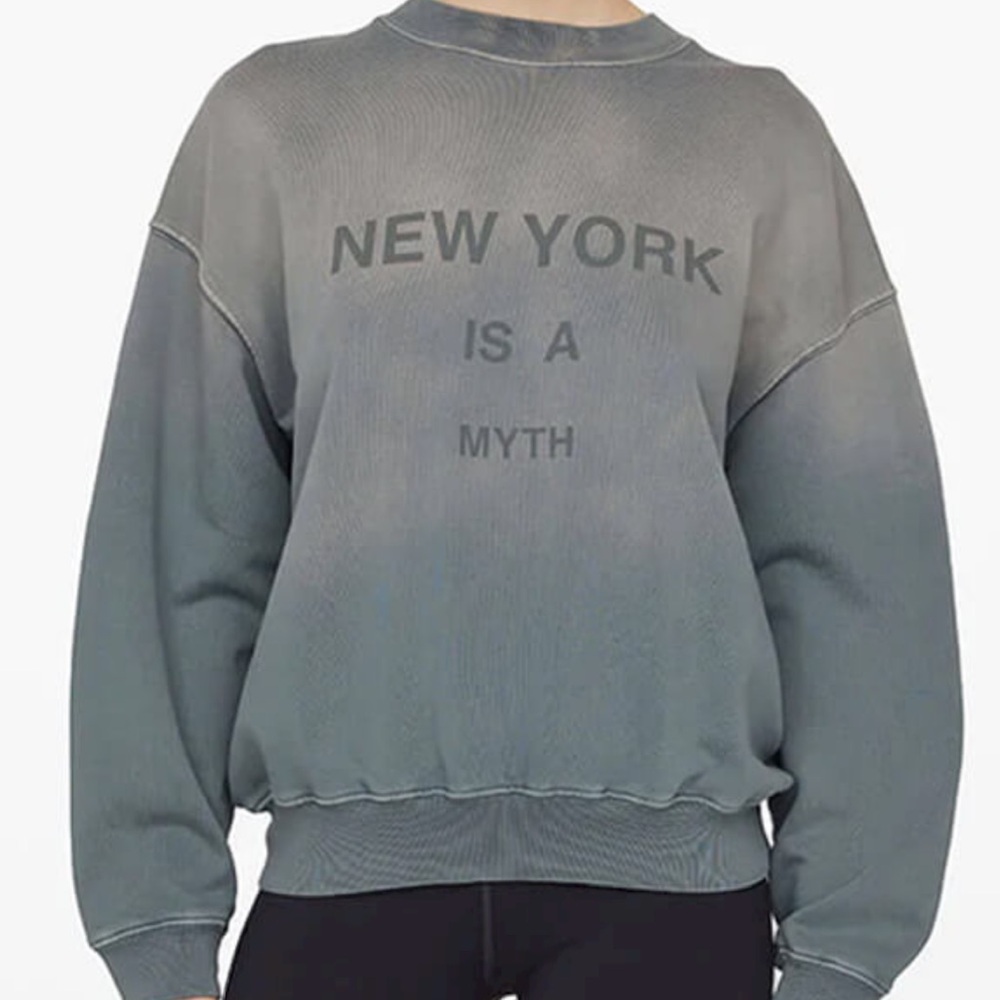 Anime Bing New York Is A Myth sweater xs